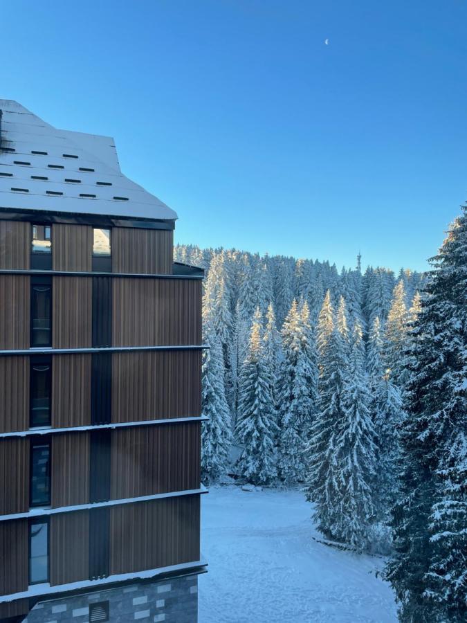 Woodside Apartment 431, Kopaonik - One Separate Bedroom 35M2- Free Parking & Spa מראה חיצוני תמונה